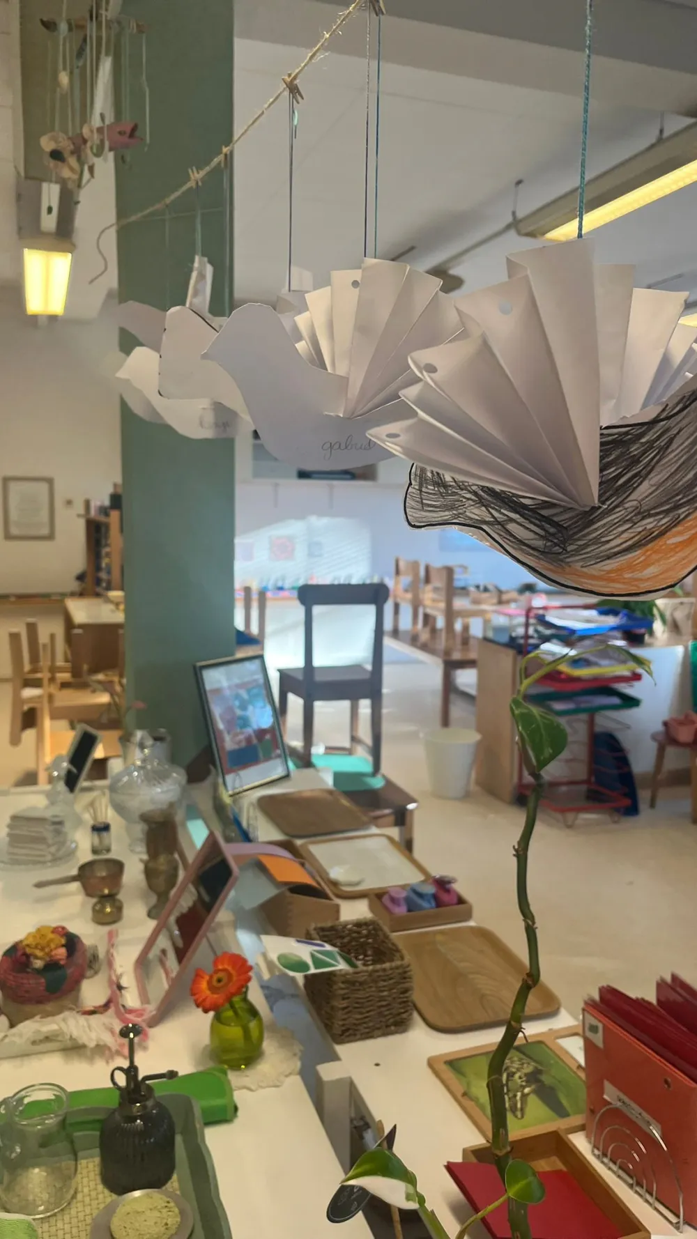 Doves in the classroom
