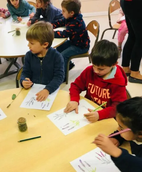 Practical life activities for 2-3 years old