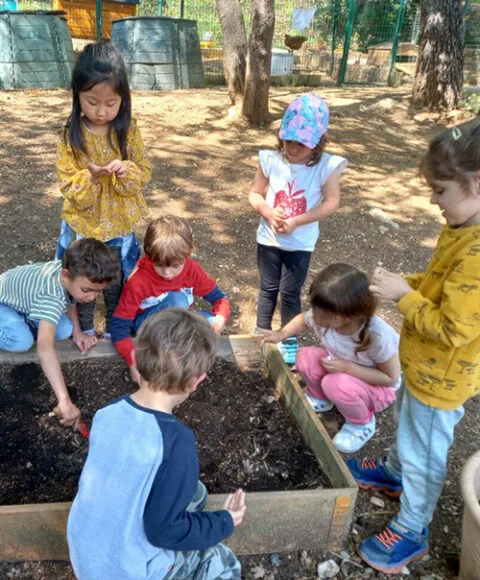Collaborative projects and advanced materials for 6-12 years old