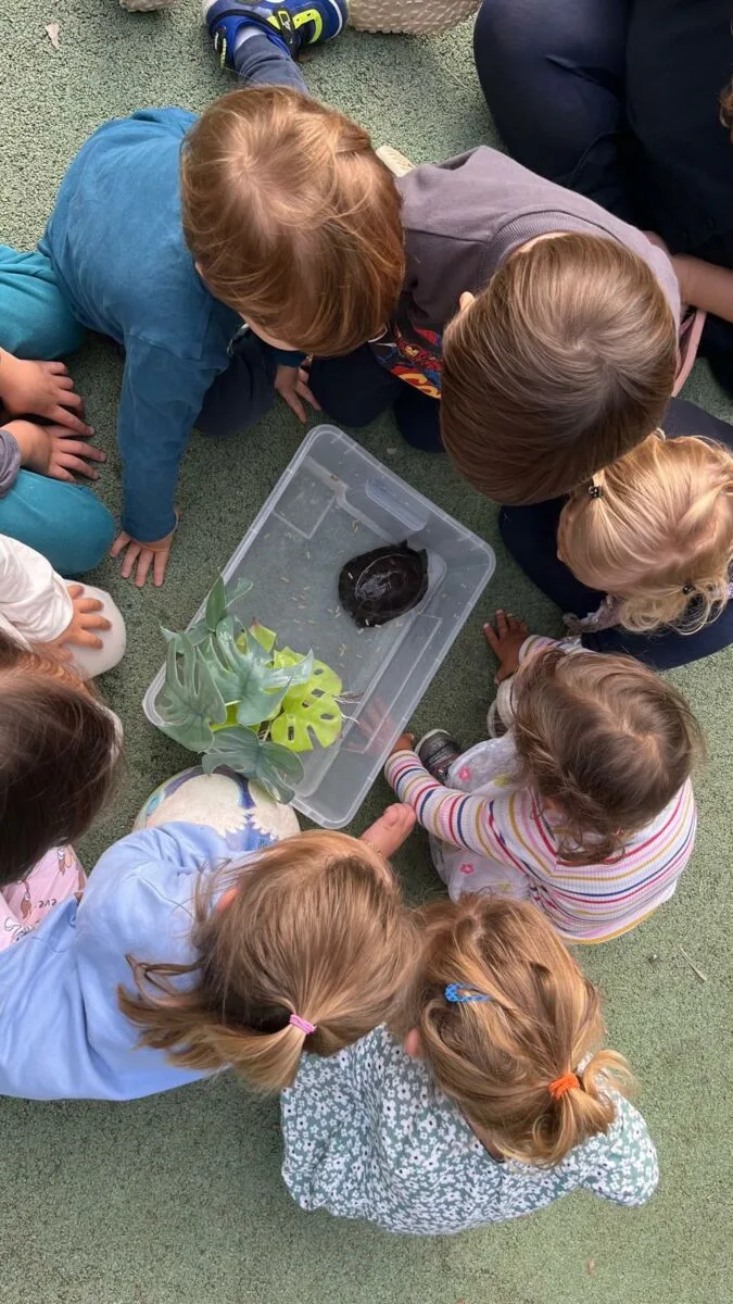 Outdoor exploration and nature-based learning