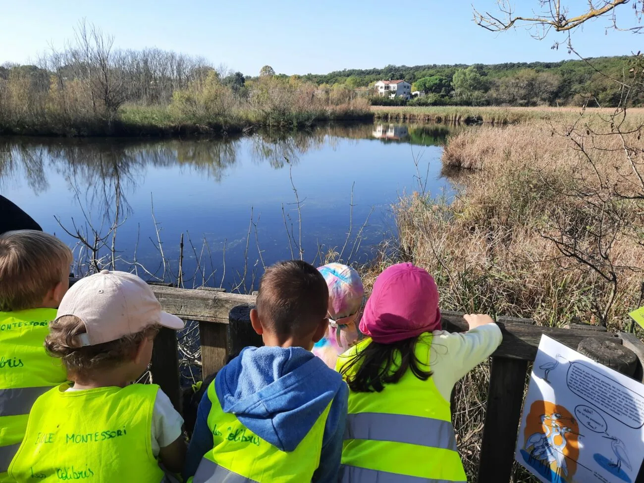 Outdoor exploration and nature adventures