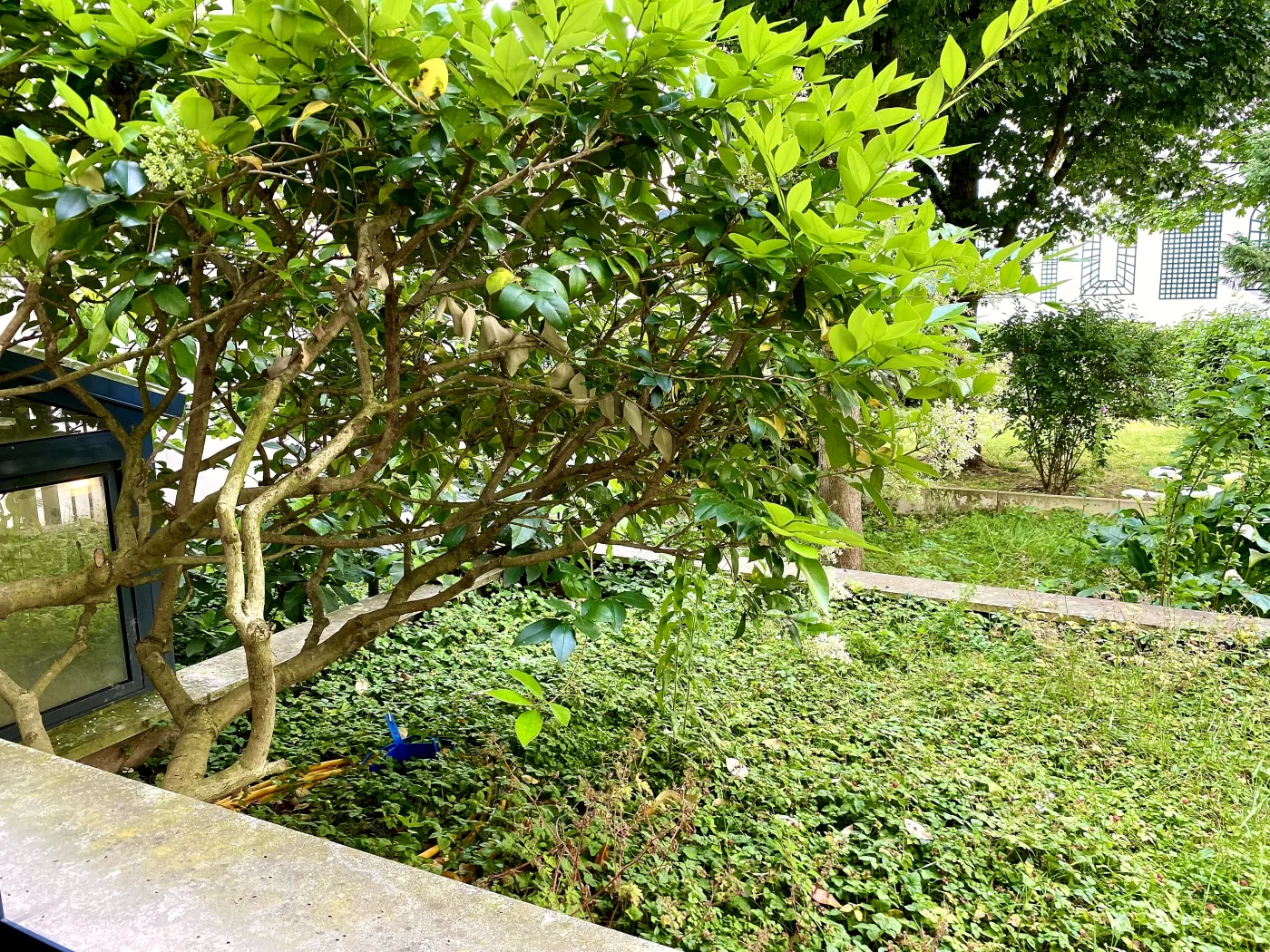 Outdoor Space