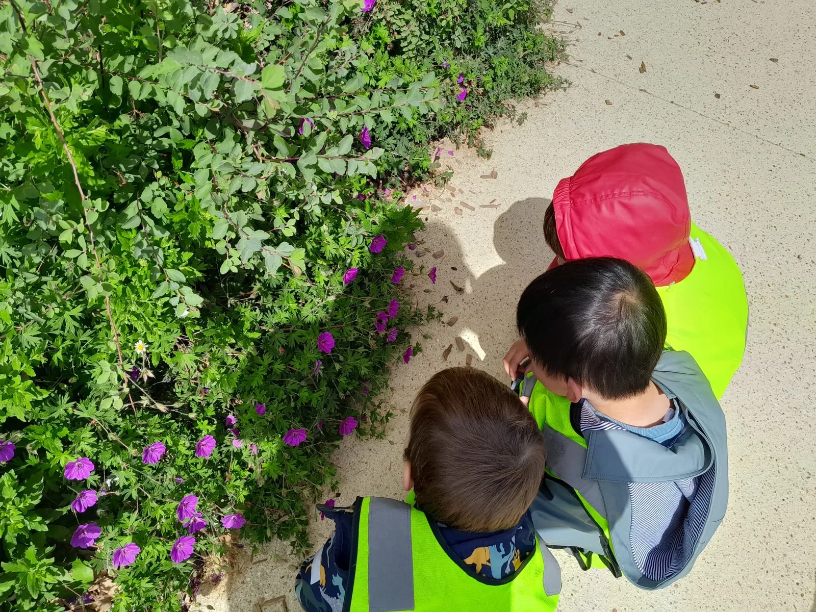 A living connection to nature