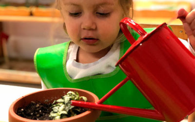 Spring newsletter 2-3 ans