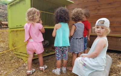 Stage bilingue vacances d’été du 22 au 26 juillet 2019