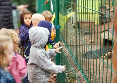 Stages bilingues 3-5 ans