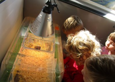 Mercredis montessori