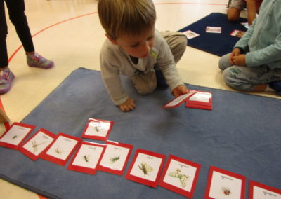 Mercredis montessori