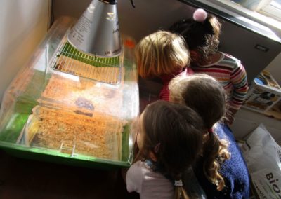 Mercredi montessori poussins