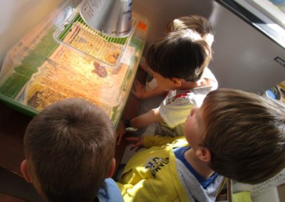 Mercredis montessori