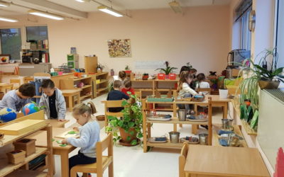 Un mercredi Montessori dans le groupe 3-6 ans