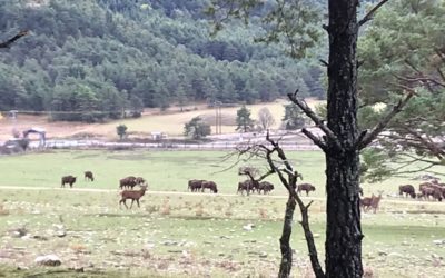 Une virée dans la réserve du Mont d&rsquo;Azur