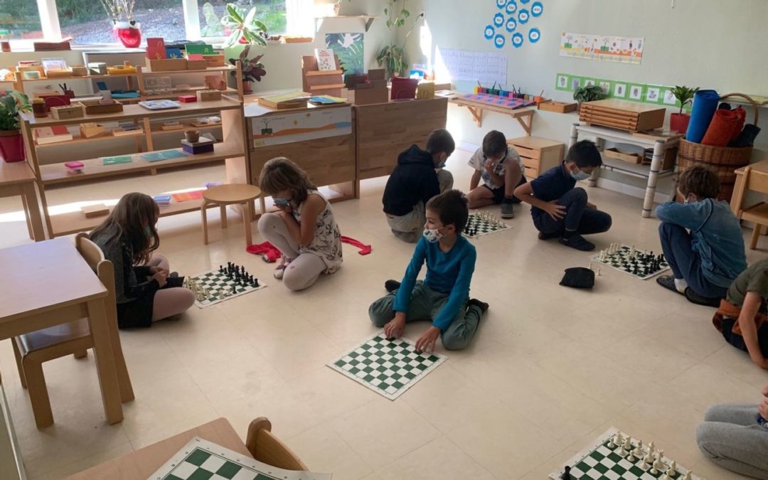 Children learn success by playing chess