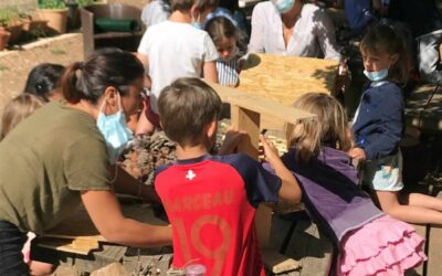 Atelier nature : fabrication de 3 hôtels à insectes aux Colibris !