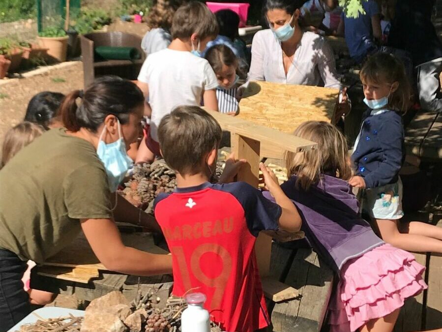 Atelier nature : fabrication de 3 hôtels à insectes aux Colibris !