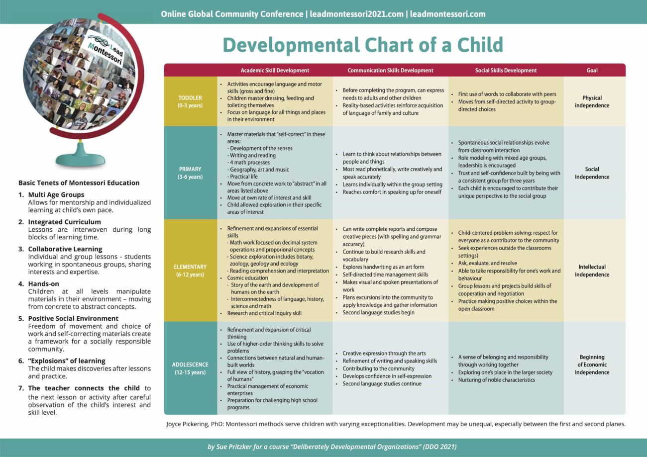 Developmental Chart of a Child