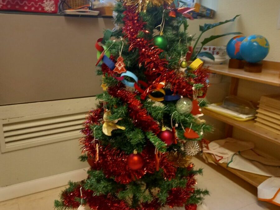 Le joli sapin !