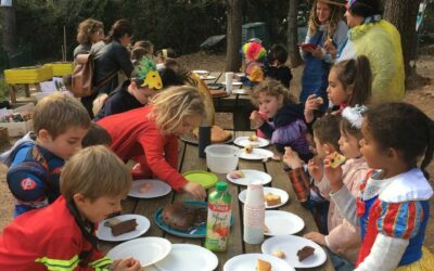 🥳 Carnival in all its colors 🎨